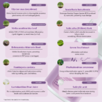 Acmica Acne Face Serum - Image 3